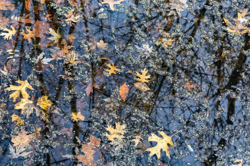 Above or below the water?