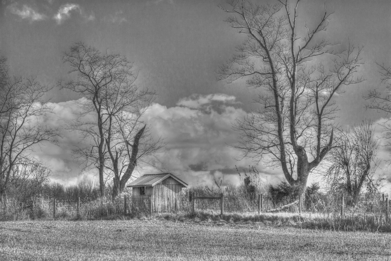 Still standing after all is gone