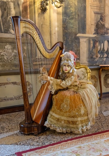 Carnival Costumer at the Harp