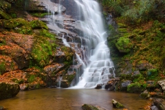 Rich  Sears Eastatoe Falls Rossman NC