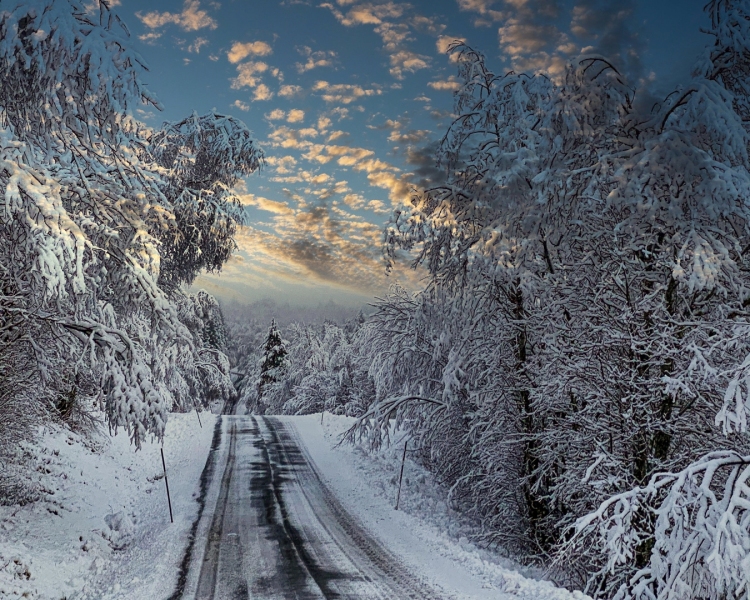 Norwegian-Sunrise