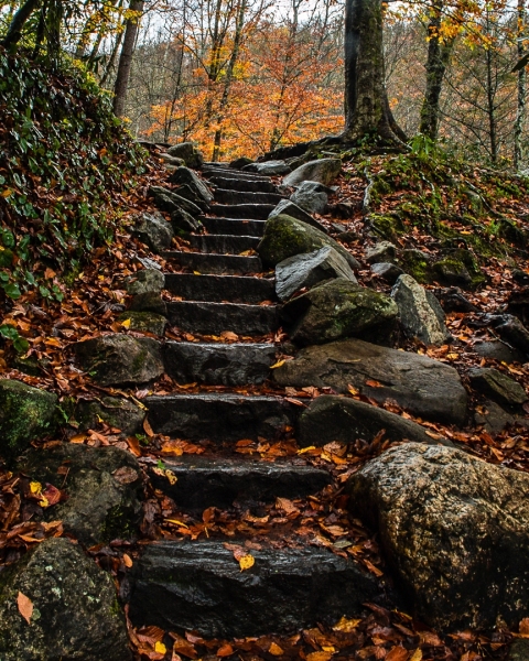 Smokies Stairway