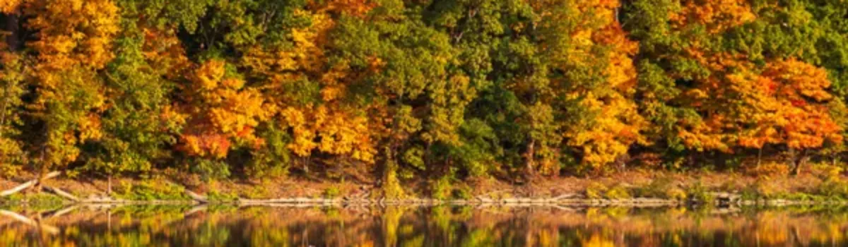 Fall Colors @ Caesar Creek State Park & Pioneer Village