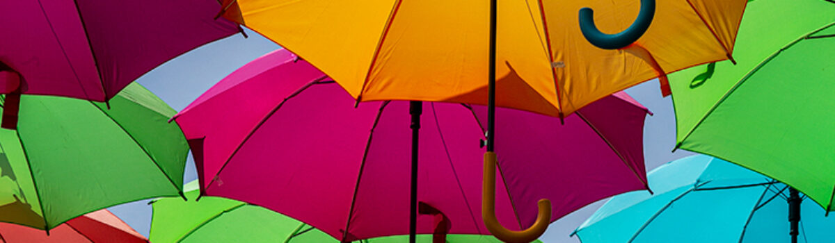 FEBRUARY MONTHLY MEETING w Susan Milinkovich-Color Theory and Photography