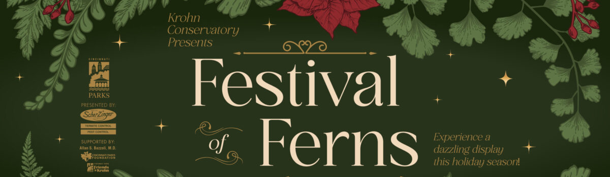 Festival of Ferns shoot at Krohn Conservatory